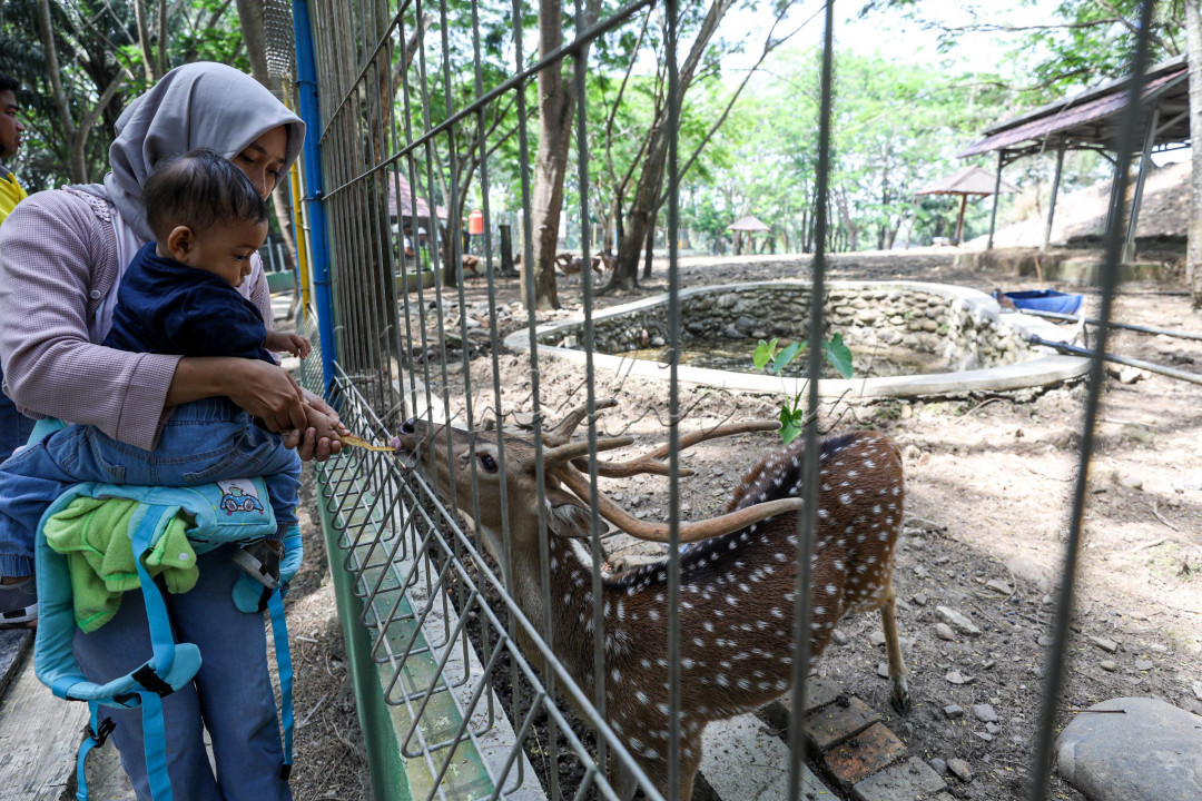 Awalnya kawasan yang dijadikan mini zoo ini merupakan bekas areal tambang. Namun areal bekas tambang tersebut disulap menjadi tempat rekreasi. Hal ini dilakukan dalam rangka menuju Tanjung Enim sebagai Kota Wisata.
<div> </div>
<div> </div>