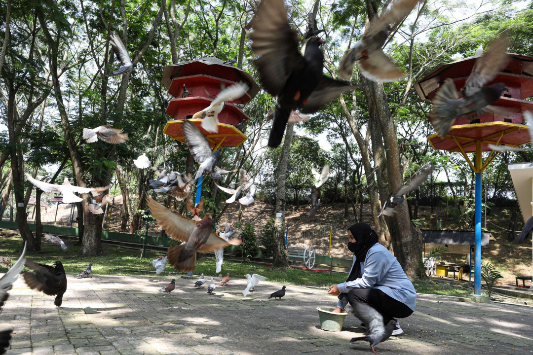 Mayoritas pengunjung merupakan warga sekitar, namun tak jarang pula ada wisatawan dari luar kota. Saat ini, pengunjung yang memasuki mini zoo tidak dipunggut biaya. Diareal wisata, terdapat banyak hewan asli nusantara. 