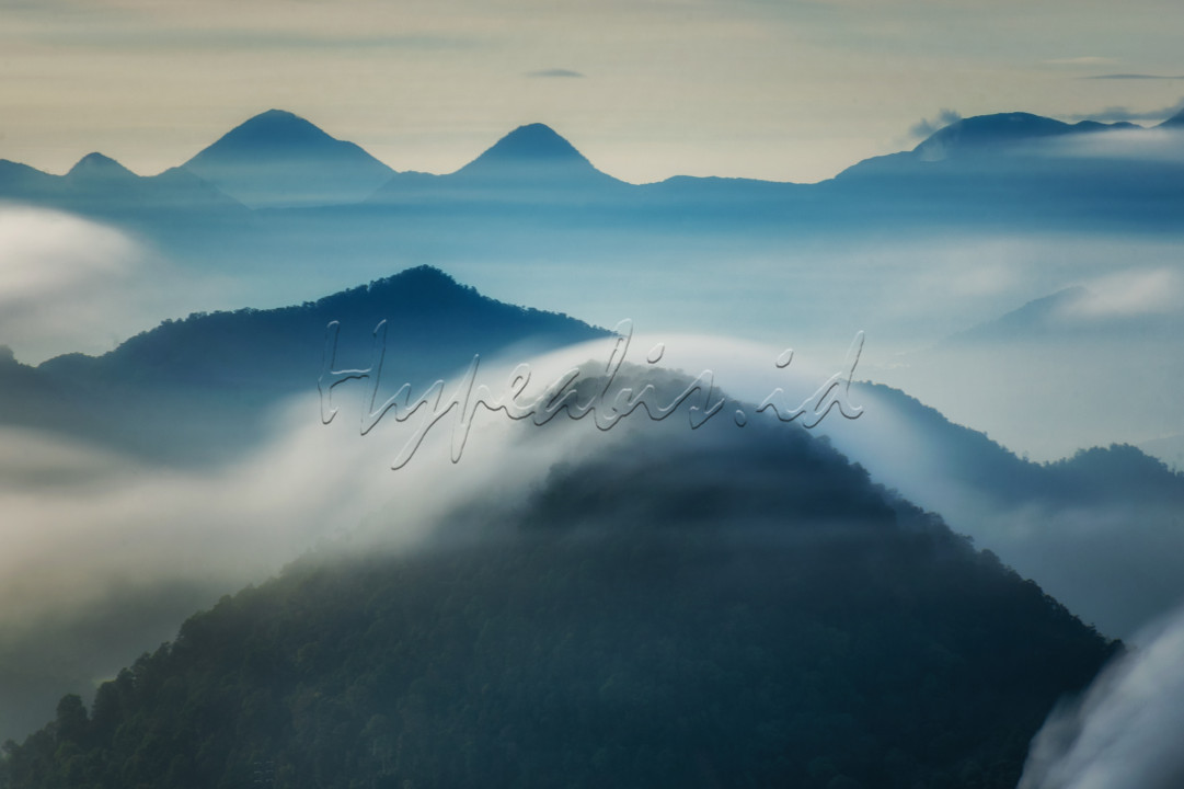 Kabut pagi pegunungan di Jawa barat