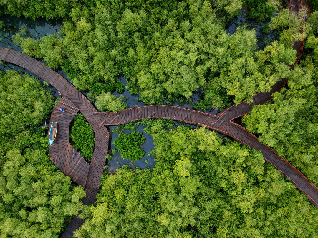 Wisata mangrove gunung anyar merupakan salah satu destinasi wisata di surabaya