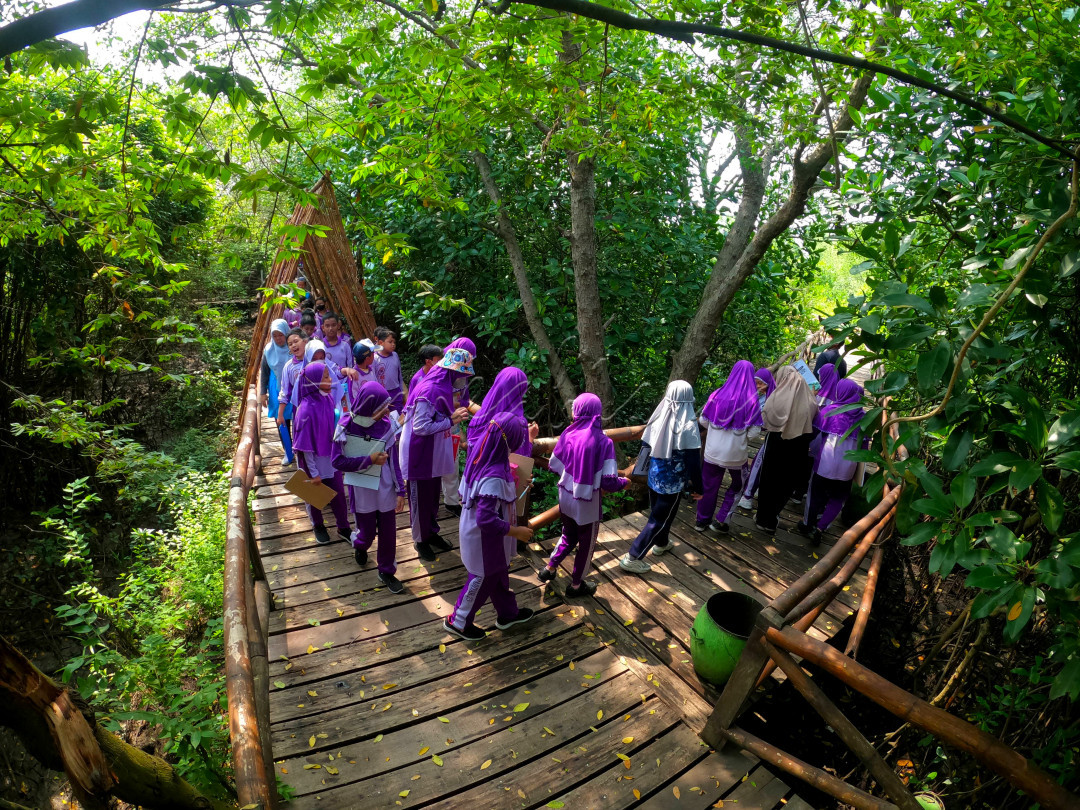 Anak-Anak SD Muhammadiyah 25 Sidotopo belajar dan bermain di wisata mangrove wonorejo