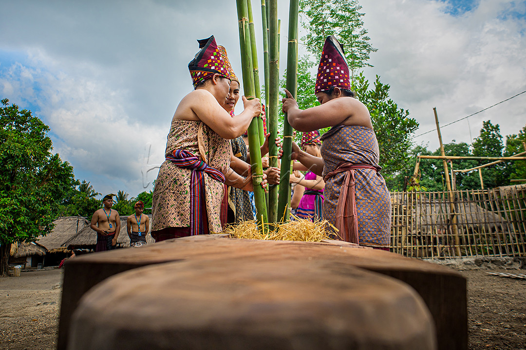 Beberapa kaum wanita suku Sasak Bayan Lombok sedang melaksanakan prosesi tumbuk padi. Prosesi ini termasuk di dalam rangkaian memperingati Maulid Nabi dan menjadi budaya Suku Sasak Bayan Lombok.