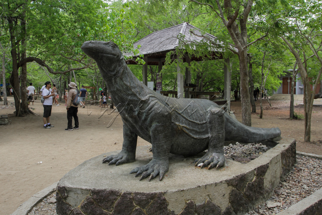 Wisatawan beraktivitas di Pulau Komodo, Labuan Bajo, Manggarat Barat, Nusa Tenggara Timur.<br />
<br />
