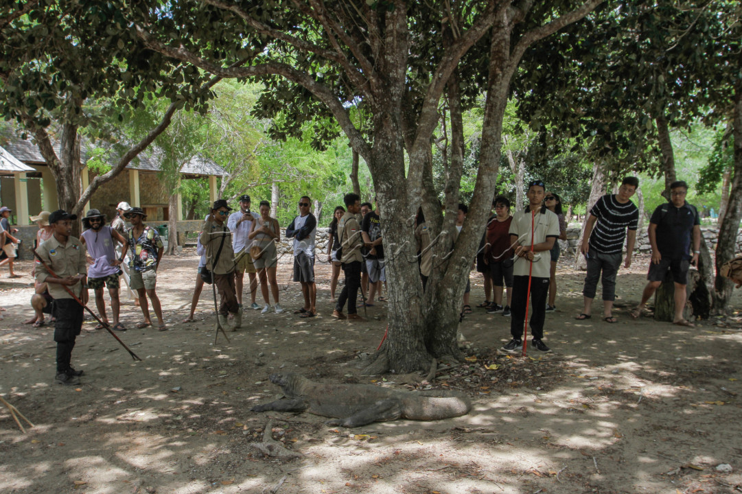 Memasuki Pulau Komodo wisatawan disambut hangat oleh para ranger yang akan menemani berkeliling di sekitar Pulau Komodo.