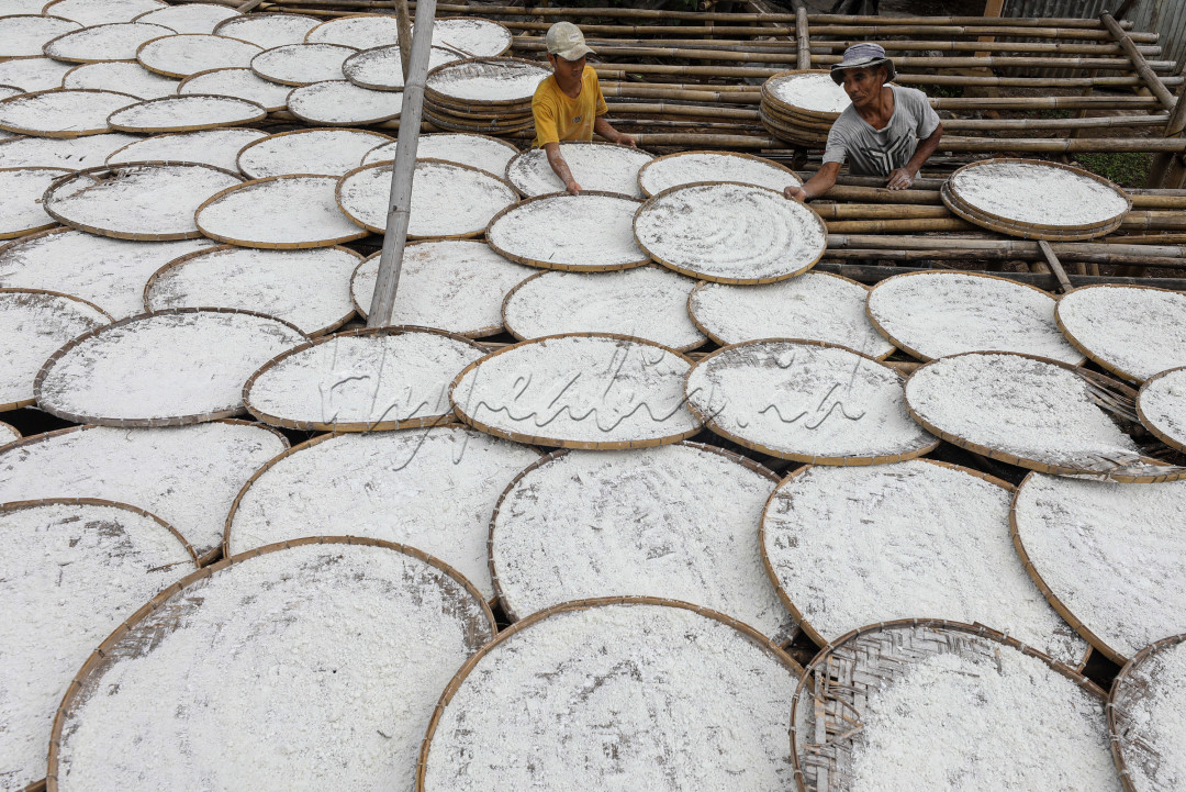 <div>Matahari telah muncul sejak tadi. Berbarengan dengan hiruk pikuk para pekerja di pabrik pembuatan tepung tapioka. Teriknya sang surya justru disambut dengan suka cita. </div>
<div> </div>