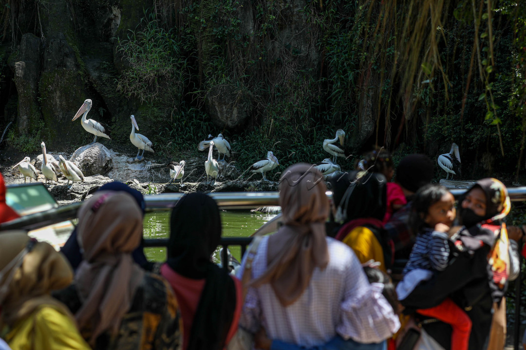 Biasanya setiap libur akhir pekan Ragunan selalu dipadati pengunjung. Tidak hanya warga Jakarta, namun ada juga yang berasal dari luar kota. 