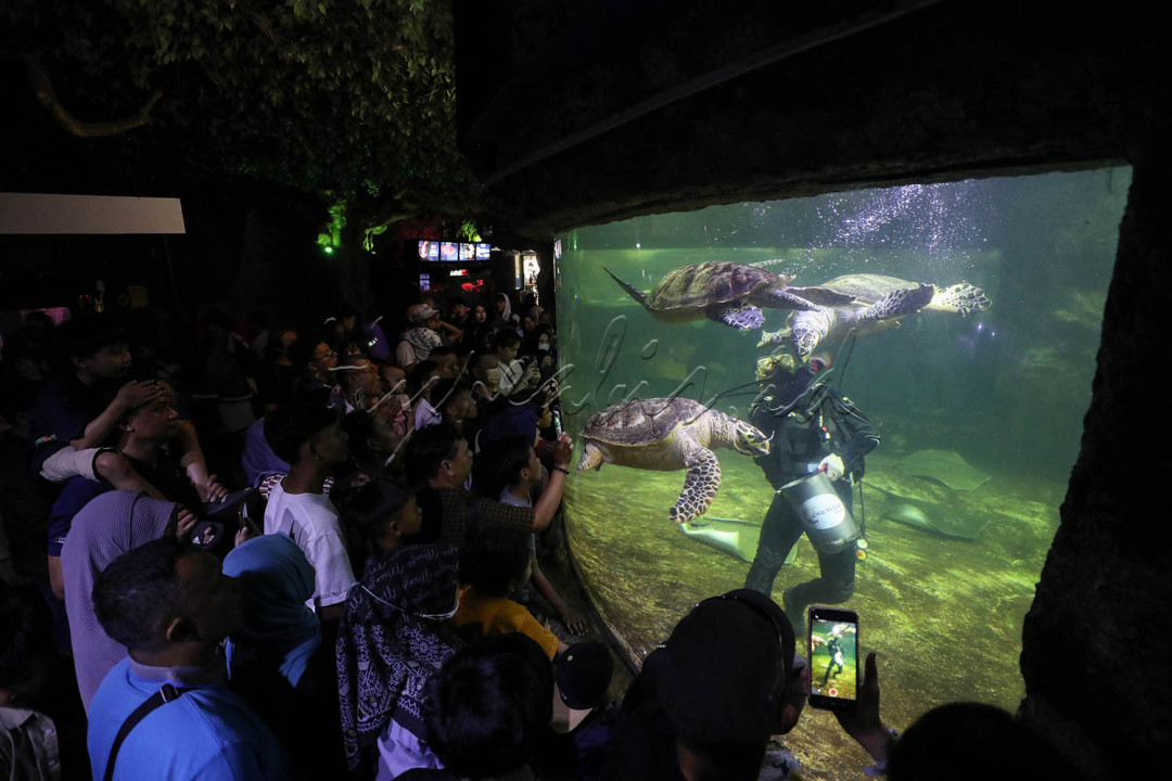 Sea World Ancol merupakan salah satu destinasi wisata dunia laut yang terletak di kawasan Taman Impian Jaya Ancol, Jakarta. Tempat ini ramai dikunjungi wisatawan saat akhir pekan terlebih saat liburan tiba.