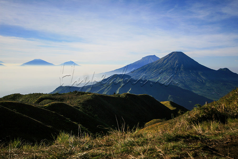 Keindahan pemandangan dengan latar empat gunung yakni Merbabu, Merapi, Sumbing dan Sindoro serta keunikan bunga Daisy membuat gunung ini banyak didatangi pendaki khususnya di akhir pekan.