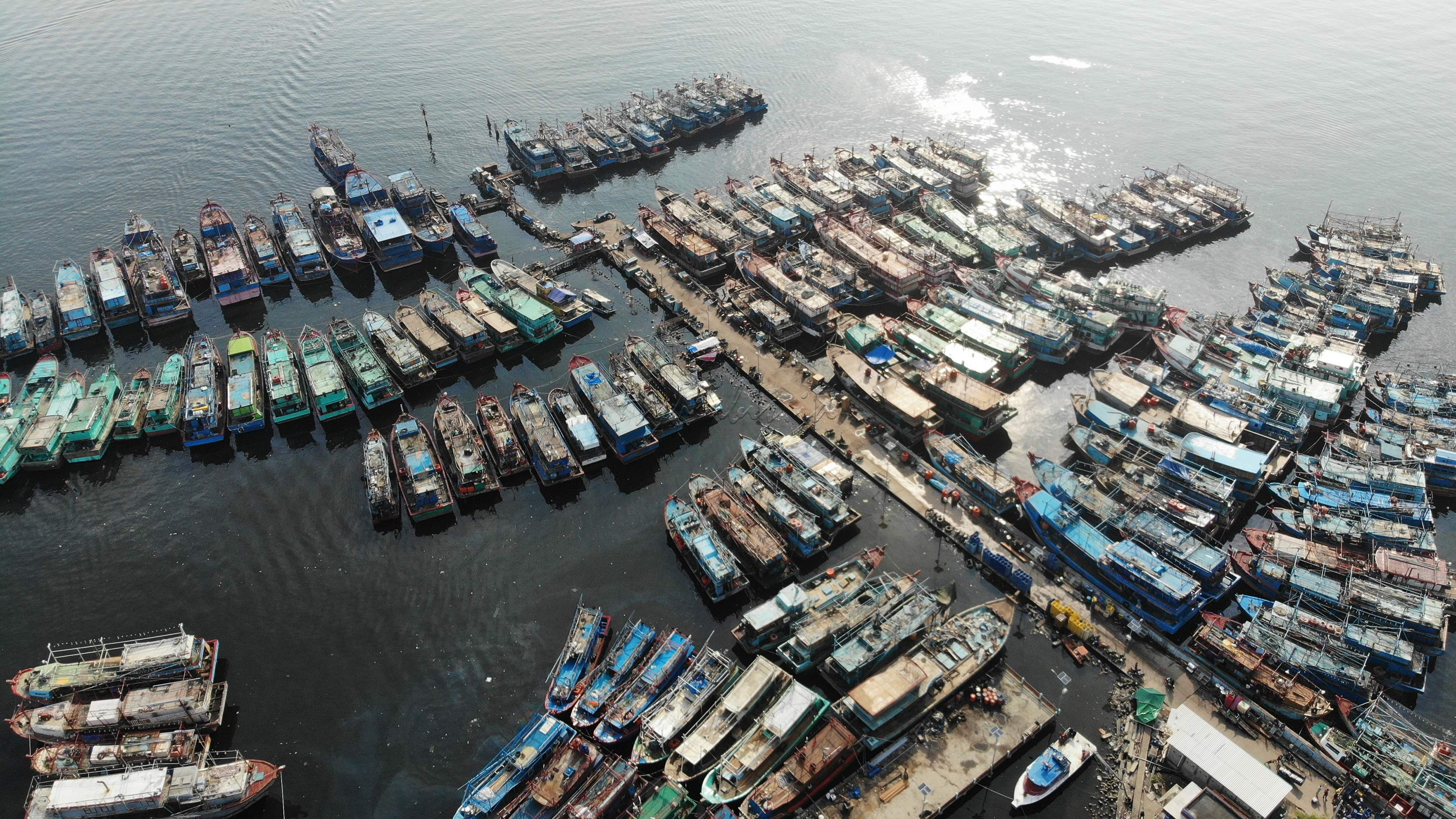 Saat ini, kawasan pelabuhan Muara Angke telah menjadi salah satu sentra industri perikanan yang cukup besar.