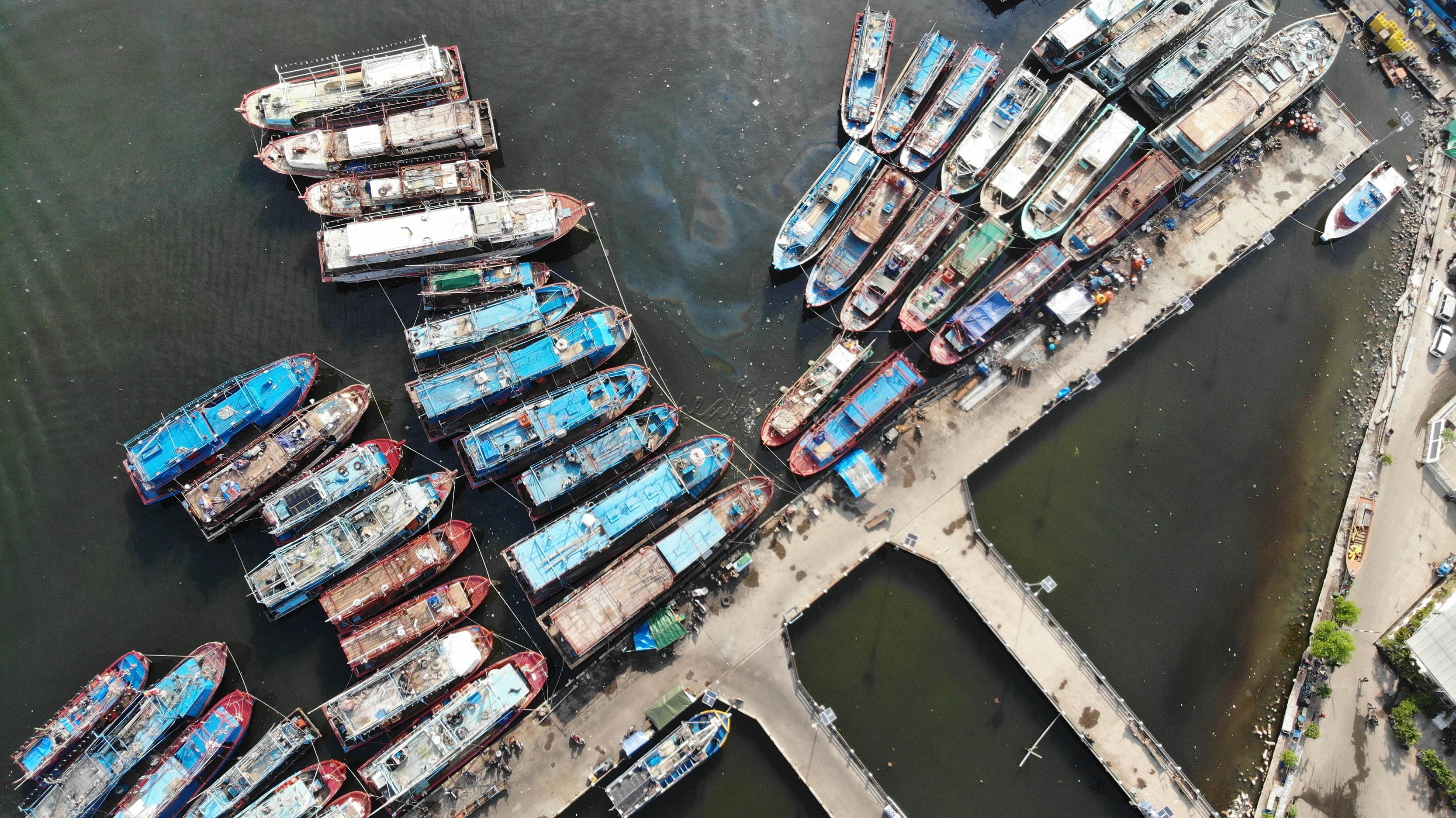 Pelabuhan yang berada di Utara Jakarta ini menjadi penopang kebutuhan ikan di wilayah Jabodetabek dan kegiatan ekspor.