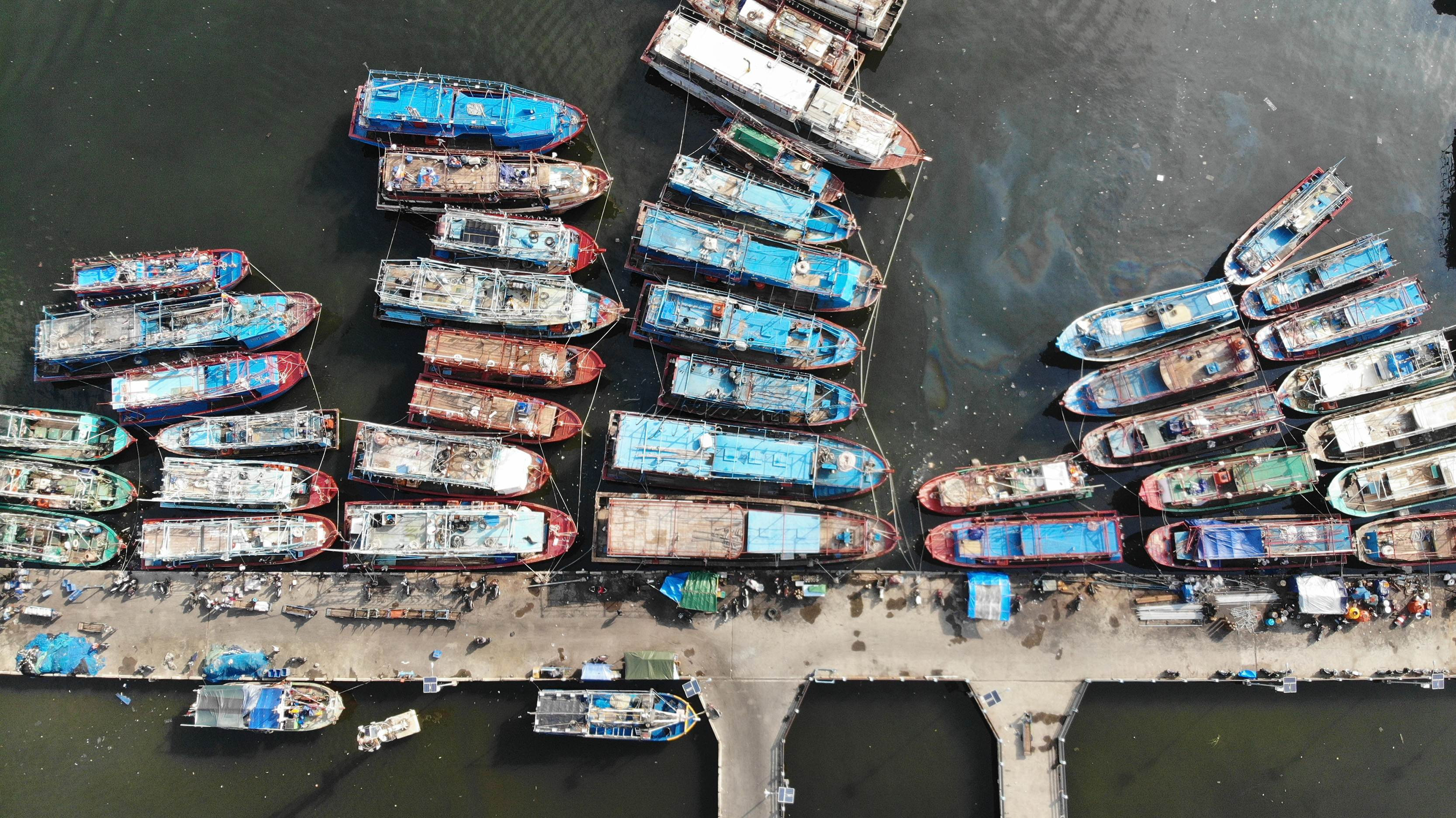 Muara Angke telah menjadi Pelabuhan Perikanan Nusantara yang dapat didarati kapal dengan bobot sampai diatas 100 GT.