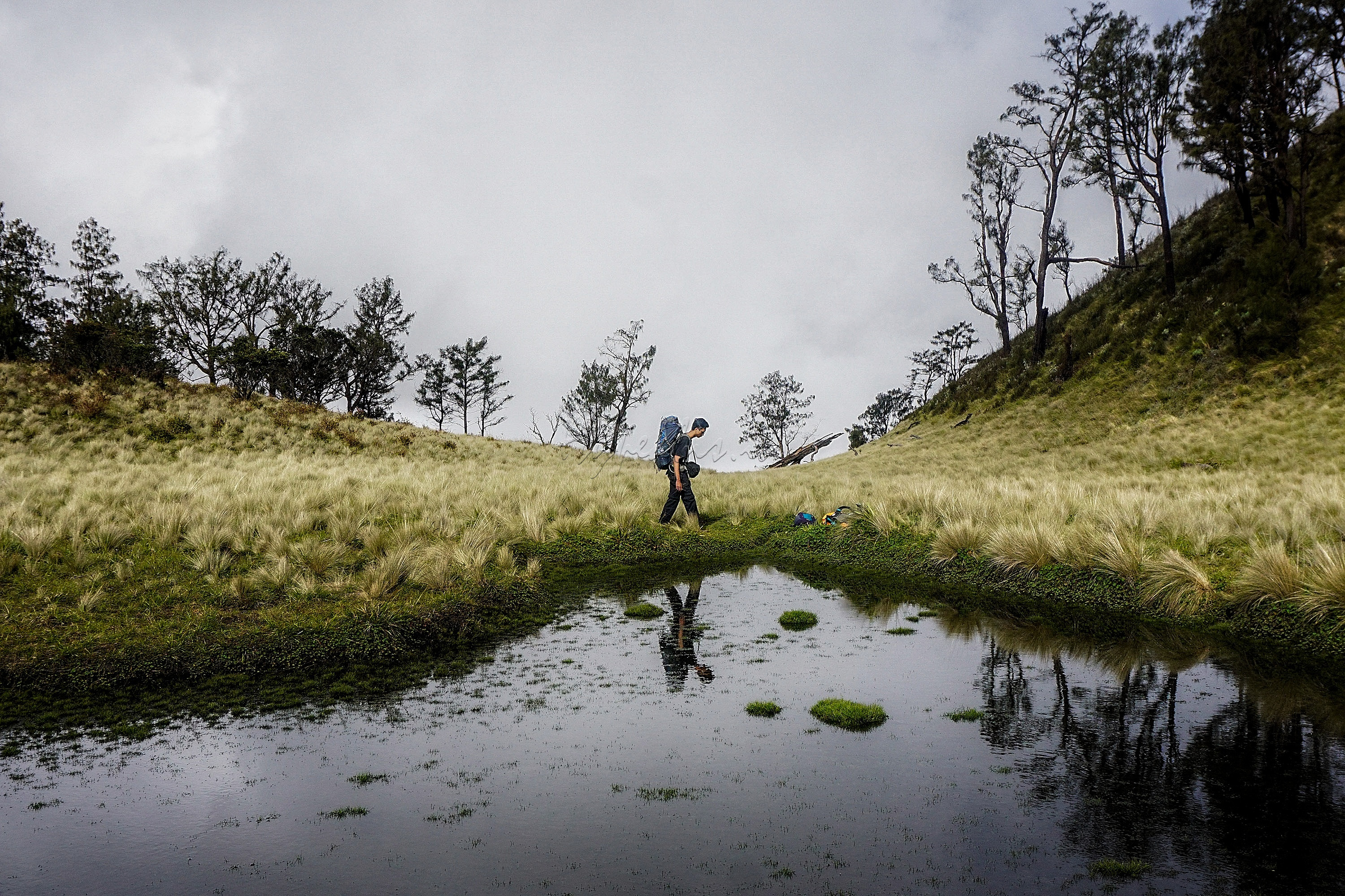 Pendaki berjalan menyusuri Gupakan Menjangan Gunung Lawu Jalur Candi Ceto, Jawa Tengah. Gunung yang memiliki ketinggian 3.265 mdpl tersebut menyajikan panorama yang indah bagi setiap pendaki yang datang ke gunung itu.